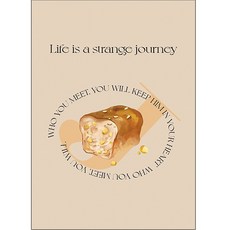 꼬까 브레드 피크닉 매트 브레드5, 혼합색상