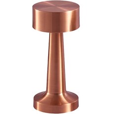 루아즈 엣지 조명 무드등 LUAZ-SP5, 로즈골드