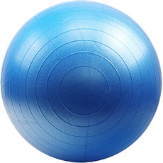 티지컴퍼니 균형 감각 짐볼, 블루