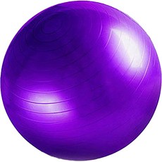 씨티컴퍼니 스트레칭 헬스 짐볼, 퍼플