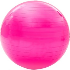 에르드쥬 요가 필라테스 짐볼, 핑크