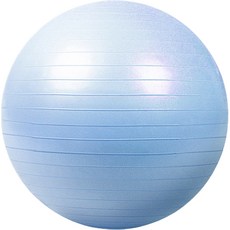 티지컴퍼니 균형감 훈련 짐볼, 블루