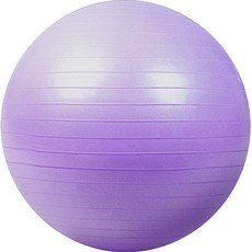 티지컴퍼니 균형감 훈련 짐볼, 퍼플
