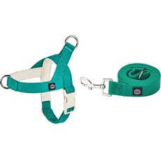 Mungtem 寵物用Palette胸背帶 + 牽繩組, 鮮豔綠色