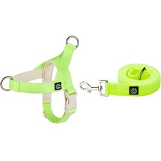 Mungtem 寵物用Palette胸背帶 + 牽繩組, 霓虹黃色