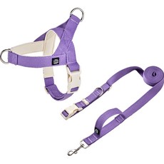 Mungtem Palette 胸背帶 + 免持牽繩套組, 鮮豔紫色, 1個