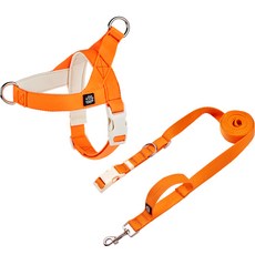 Mungtem Palette 胸背帶 + 免持牽繩套組, 霓虹橘色, 1個