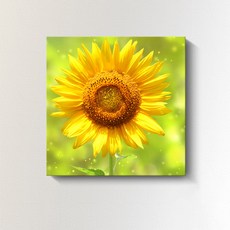 Modern G 預感會有好事的向日葵掛畫 6 YJ089