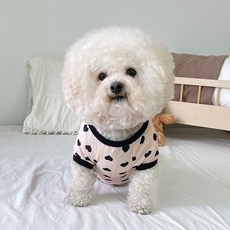 bydamsoomi 狗狗愛心假鈕扣針織外套, 米色, 1個