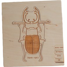 Stuka Puka 蒙特梭利鍬形蟲拼圖, 1個