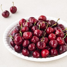 다조은 미국산 체리, 700g, 1팩