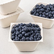 산지직송 아주마 무농약 인증 영동 블루베리, 250g, 4팩