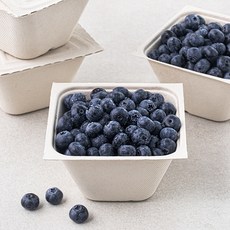 아주마 무농약 인증 산지직송 영동 특 블루베리, 250g, 4팩