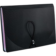 DOnG-A Pms 高級格紋封面彩虹索引A4文件夾, 13格 黑色, 1個