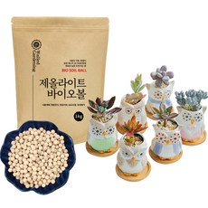 Walled Gardening 沸石生物球 濕度調節, 8號, 1個