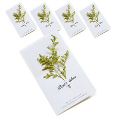 La Boum 可愛設計乾燥花卡片, 5個, 黃色