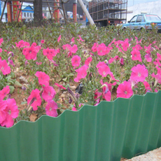 빌드온 마당 원예 조경 화단울타리 분리대 10cm x 9m