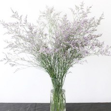 로즈피아 생화 오션블루 1단, 보라색