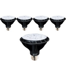 DAYON PAR30 LED 15W 聚光型, 燈泡色, 5個