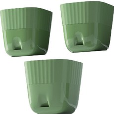 클레어라 사각 화분 3p, 그린