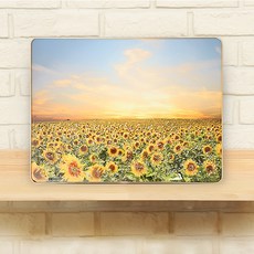 꾸미아트 금전 풍수인테리어 그림액자 해바라기C