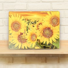 裝飾藝術 招財風水室內裝潢掛畫 向日葵B, 單一顏色