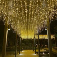 日常生活 LED 蜈蚣燈串 電池款 暖白色 6M 40燈, 5個