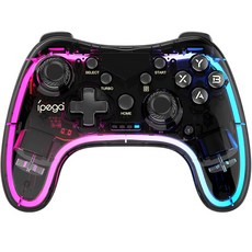 아이페가 RGB 컨트롤러, PG-9228, 1개