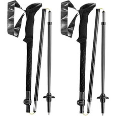 LEKI Plus Pack Black系列 FX Carbon 652290011P 4節登山杖組, 混色