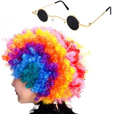 PARTYSHOW 小型小丑假髮 + 復古迷你眼鏡組, 彩虹(假髮), 金邊黑色(眼鏡), 1套