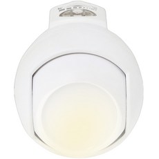 이로홈 LED 자동센서 실내등 A형 회전형, 전구색, 1개