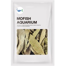 YOUNG AQUA 烏龜用龍眼葉 綠葉, 36g, 1個