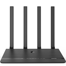 네티스 AC1200 기가비트 듀얼밴드 메쉬 와이파이 공유기, MEX01V2, 1개