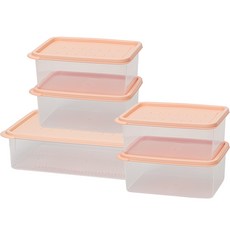 EASY&FREE Easy Keep Freeze Pack 大容量冷凍庫整理容器 1900ml x 4入 + 5000ml 套組, 1套