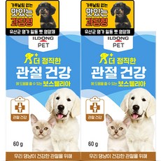 일동펫 반려동물 더 정직한 영양제, 관절+장건강, 2개