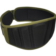 前程似錦 穩固核心 深蹲舉重 力量腰帶 綠色, 1個