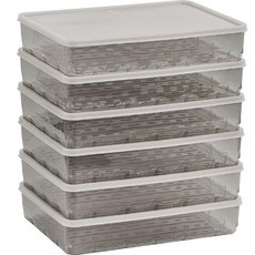 Thx Soyoon 冷凍庫專用密封容器1號 透明灰色, 6個, 單品