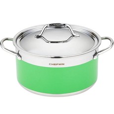 쉐프윈 인덕션 304STS 통5중 컬러 양수냄비, 그린, 1개, 지름 24cm x 높이 12.5cm