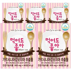 먹어도좋아 가르시니아 36g, 5개, 40정