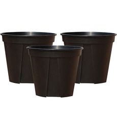 앙플랜트 숨쉬는 슬릿화분, 블랙, 3개