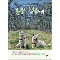 SidaeIn 溫馨的鐵洙家, 敏達永, 時代