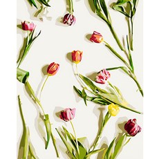 wemakepainting DIY名畫繪畫 40*50cm, 五顏六色的花