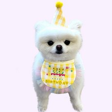Happy Vely 寵物生日派對帽子 + 圍兜套組, 彩虹裝飾
