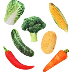 PASTEL PET 寵物發聲絨毛食物玩具7件組, 蔬菜, 1套