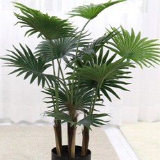 다우에프앤지 인조목, 비로야자, 100CM, 그린, 1개