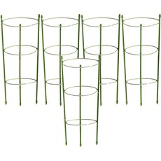 앞날창창 화분 원예 식물지지대 그린 75cm, 5개