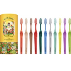 Kent Royal 超細軟毛 Victoria W Day 牙刷 11件組, 1套