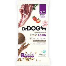 닥터독 시니어 강아지 건식사료, 양, 250g, 1개