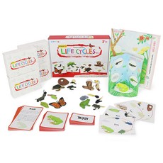 GabeFamily KS4251 蒙特梭利Plus 生命週期公仔套組, 紅色, 1個