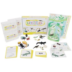 GabeFamily KS4252 蒙特梭利Plus 生命週期公仔套組, 黃色, 1個